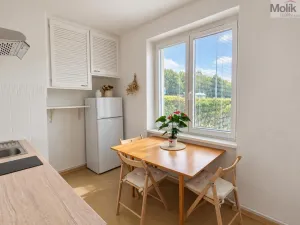 Pronájem bytu 2+1, Teplice, Josefa Suka, 50 m2