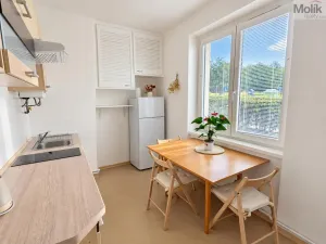 Pronájem bytu 2+1, Teplice, Josefa Suka, 50 m2