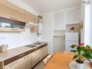 Pronájem bytu 2+1, Teplice, Josefa Suka, 50 m2