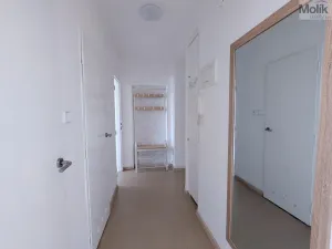 Pronájem bytu 2+1, Teplice, Josefa Suka, 50 m2