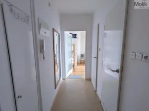 Pronájem bytu 2+1, Teplice, Josefa Suka, 50 m2