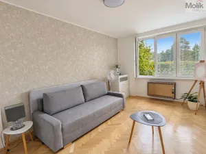 Pronájem bytu 2+1, Teplice, Josefa Suka, 50 m2
