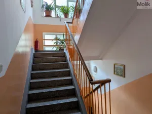 Pronájem bytu 2+1, Teplice, Josefa Suka, 50 m2