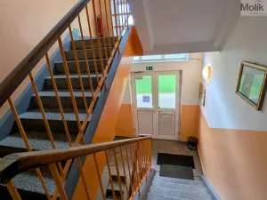 Pronájem bytu 2+1, Teplice, Josefa Suka, 50 m2