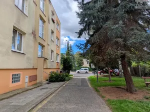 Pronájem bytu 2+1, Teplice, Josefa Suka, 50 m2