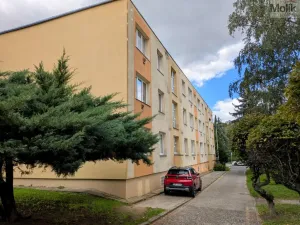 Pronájem bytu 2+1, Teplice, Josefa Suka, 50 m2