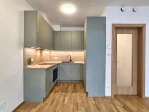 Pronájem bytu 1+kk, Praha, Hartigova, 53 m2