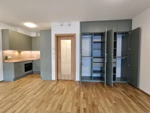 Pronájem bytu 1+kk, Praha, Hartigova, 53 m2