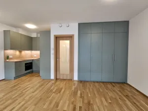 Pronájem bytu 1+kk, Praha, Hartigova, 53 m2