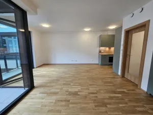 Pronájem bytu 1+kk, Praha, Hartigova, 53 m2