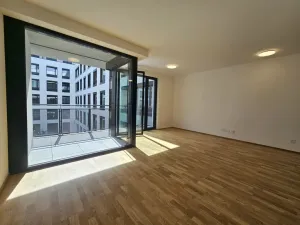 Pronájem bytu 1+kk, Praha, Hartigova, 53 m2