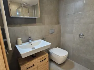 Pronájem bytu 1+kk, Praha, Hartigova, 53 m2