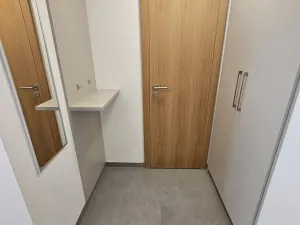Pronájem bytu 1+kk, Praha, Hartigova, 53 m2