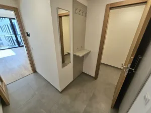 Pronájem bytu 1+kk, Praha, Hartigova, 53 m2