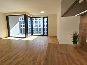 Pronájem bytu 1+kk, Praha, Hartigova, 53 m2