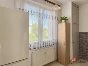 Pronájem bytu 3+1, Nové Mitrovice, 67 m2