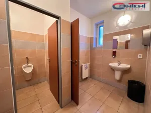 Prodej skladu, Králův Dvůr, Tovární, 1088 m2