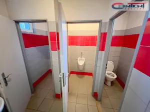 Prodej skladu, Králův Dvůr, Tovární, 1088 m2