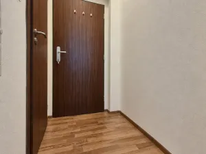 Pronájem bytu 1+kk, České Budějovice, U Boru, 26 m2