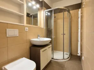 Pronájem bytu 1+kk, České Budějovice, U Boru, 26 m2