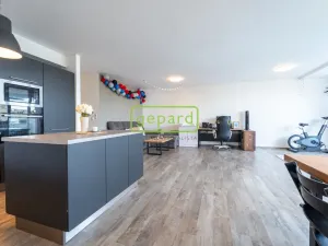 Prodej bytu 3+kk, Plzeň - Severní Předměstí, Kotíkovská, 109 m2