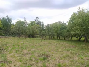 Prodej pozemku pro bydlení, Hulín - Chrášťany, 3043 m2