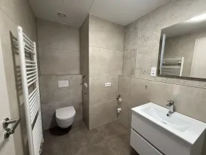 Pronájem bytu 2+kk, Nepomuk, Višňovka, 61 m2
