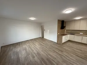 Pronájem bytu 3+kk, Nepomuk, Višňovka, 93 m2