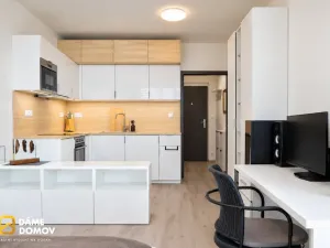 Prodej bytu 1+kk, Brno, Hluboček, 26 m2