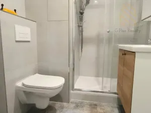 Pronájem bytu 1+1, Louny, Petra Obrovce, 35 m2
