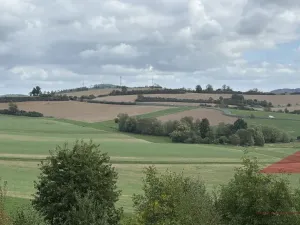 Prodej zahrady, Sušice, 402 m2