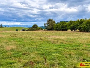 Prodej pozemku pro bydlení, Kunštát, 935 m2