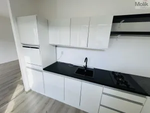 Pronájem bytu 1+1, Litvínov - Horní Litvínov, Ruská, 30 m2