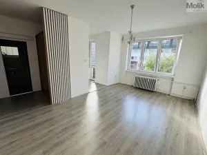 Pronájem bytu 1+1, Litvínov - Horní Litvínov, Ruská, 30 m2