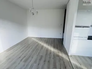 Pronájem bytu 1+1, Litvínov - Horní Litvínov, Ruská, 30 m2