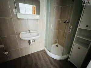 Pronájem bytu 1+1, Litvínov - Horní Litvínov, Ruská, 30 m2