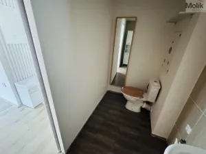 Pronájem bytu 1+1, Litvínov - Horní Litvínov, Ruská, 30 m2