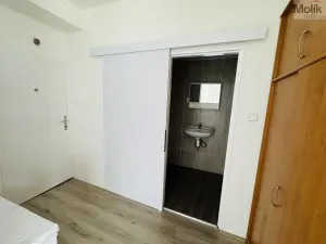 Pronájem bytu 1+1, Litvínov - Horní Litvínov, Ruská, 30 m2