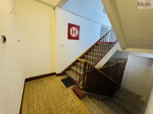 Pronájem bytu 1+1, Litvínov - Horní Litvínov, Ruská, 30 m2