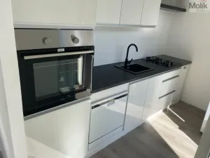 Pronájem bytu 1+1, Litvínov - Horní Litvínov, Ruská, 30 m2
