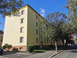 Prodej bytu 2+1, Pardubice - Zelené Předměstí, Pichlova, 54 m2