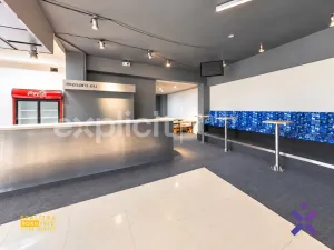Pronájem komerční nemovitosti, Bojkovice, Mánesova, 200 m2