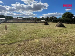 Prodej pozemku pro bydlení, Olešná, 1036 m2
