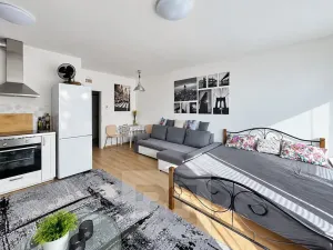 Pronájem bytu 1+kk, Praha - Hostivař, Rižská, 35 m2