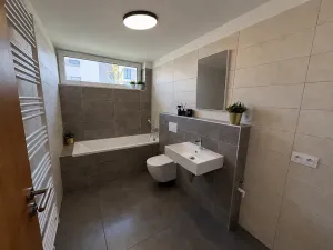 Pronájem bytu 1+kk, Dobřany, Denksteinova, 39 m2