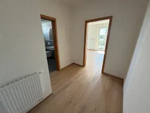 Pronájem bytu 1+kk, Dobřany, Denksteinova, 39 m2