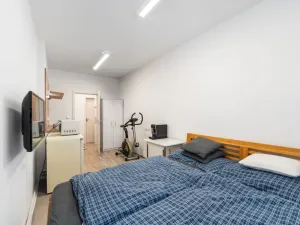 Prodej bytu 1+kk, České Budějovice - České Budějovice 3, Skuherského, 23 m2