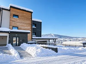 Prodej bytu 3+kk, Loučná pod Klínovcem, 102 m2