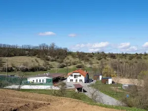 Prodej rodinného domu, Slavkov u Brna, 105 m2