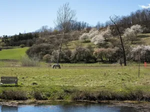 Prodej rodinného domu, Slavkov u Brna, 105 m2
